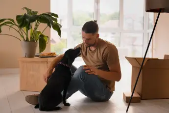 Checklist for Moving with Pets